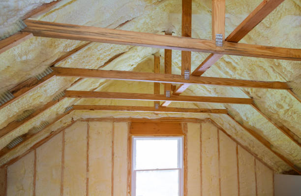 Best Cellulose Insulation  in Skippers Corner, NC