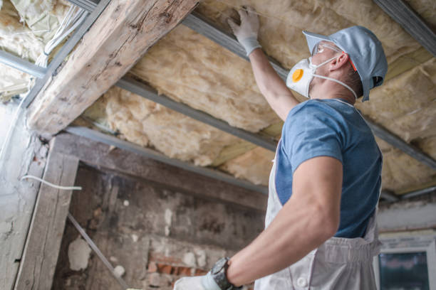 Best Blown-in Insulation  in Skippers Corner, NC