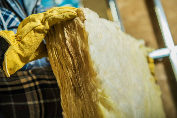 Best Local Insulation Services  in Skippers Corner, NC