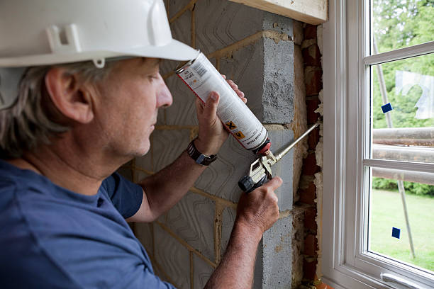 Best Insulation Removal  in Skippers Corner, NC