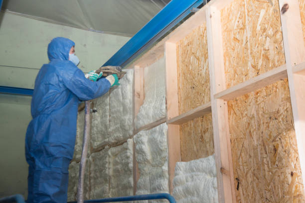 Best Insulation Contractor Near Me  in Skippers Corner, NC