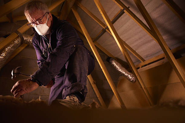 Best Insulation Repair Services  in Skippers Corner, NC