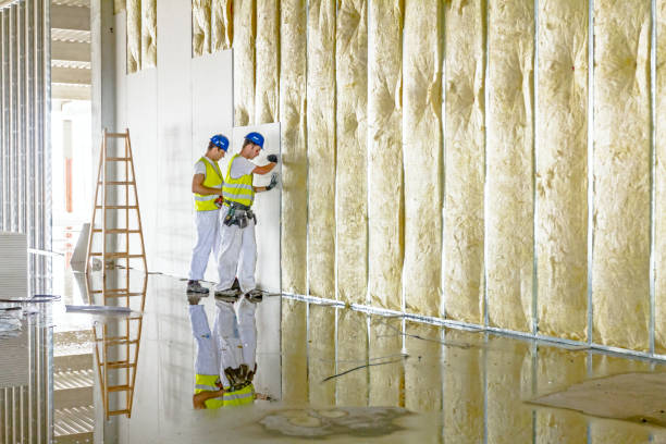 Best Attic Insulation Installation  in Skippers Corner, NC